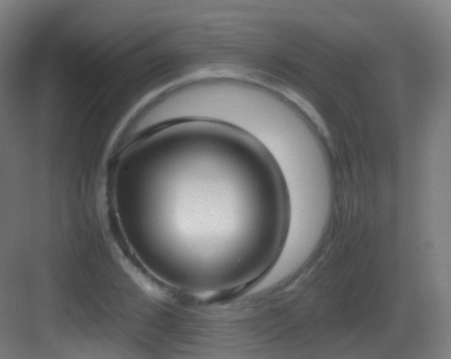 X0000083600976200702091215