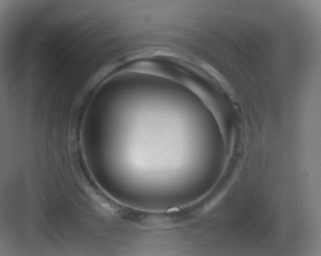 X0000083600977200702091215