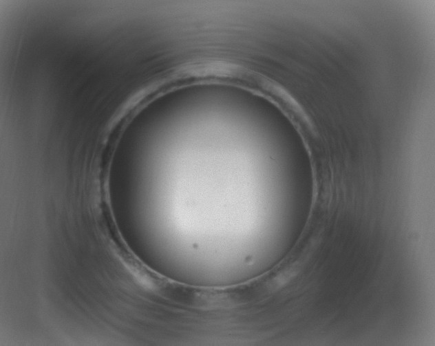 X0000083600978200702091215