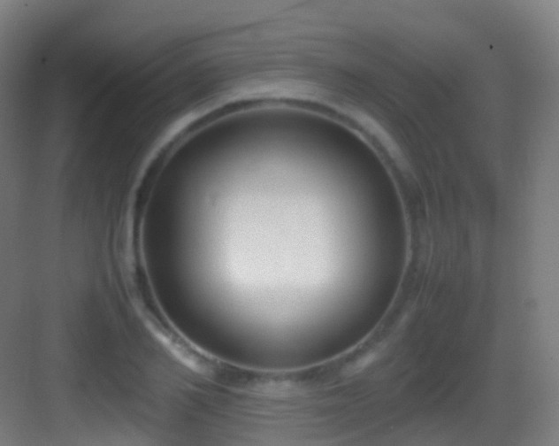 X0000083600982200702091215