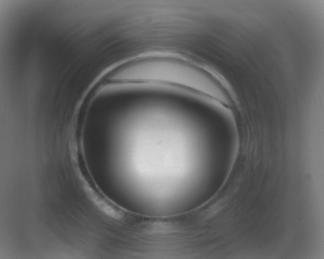 X0000083600984200702091215