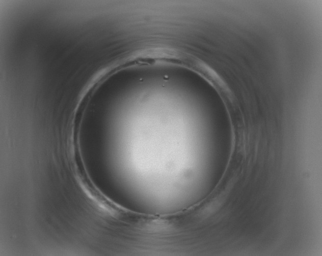 X0000083600986200702091215