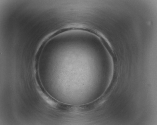 X0000083600987200702091215