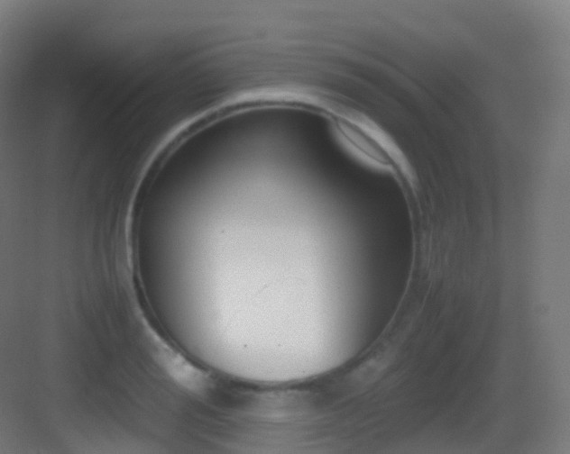 X0000083600988200702091215