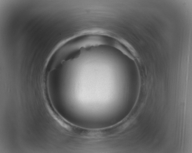 X0000083600989200702091215