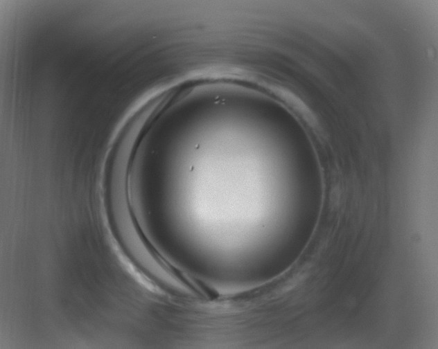 X0000083600990200702091215