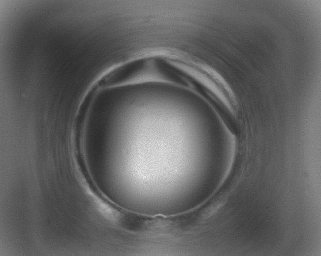 X0000083600991200702091215