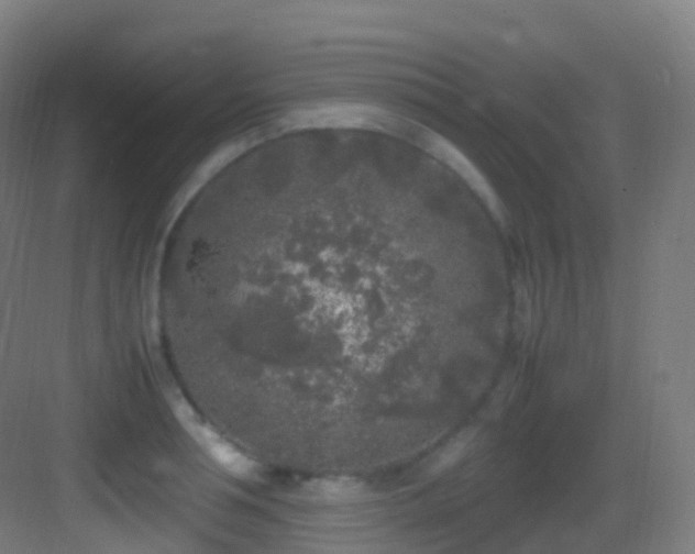 X0000083600994200702091215