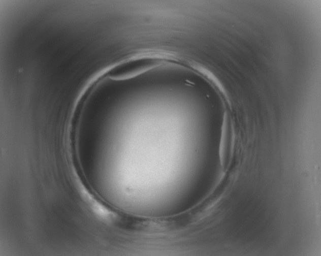 X0000083600995200702091215