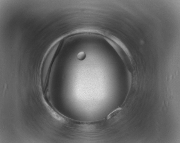 X0000083600996200702091215