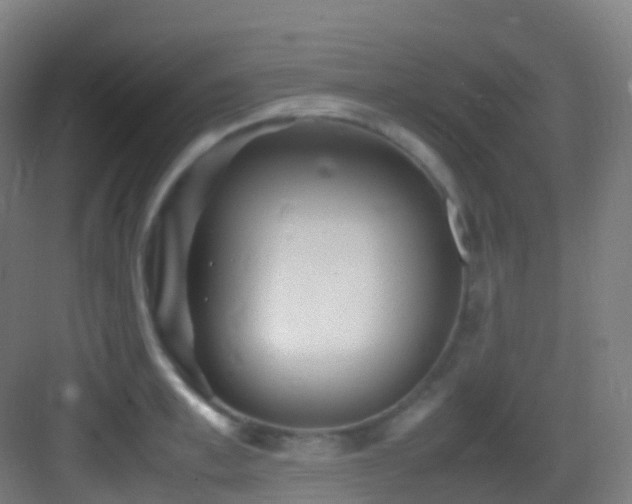 X0000083600997200702091215