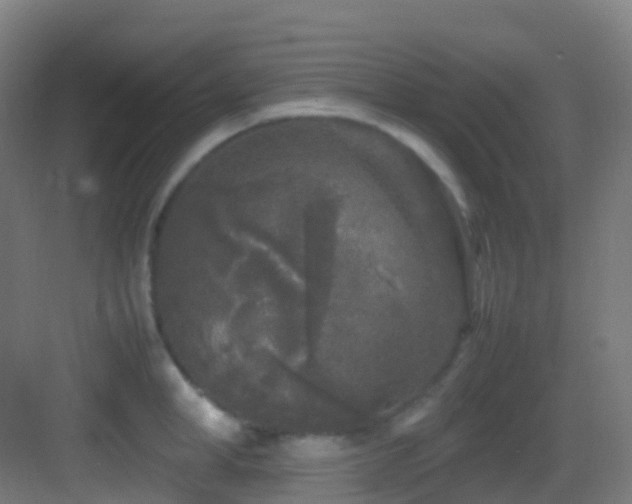 X0000083600998200702091215