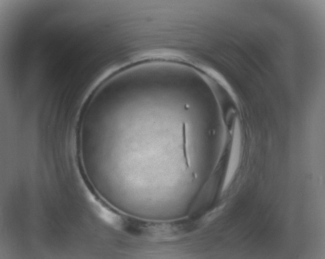 X0000083600999200702091215