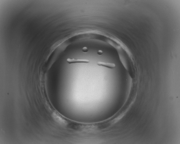 X0000083601001200702091215