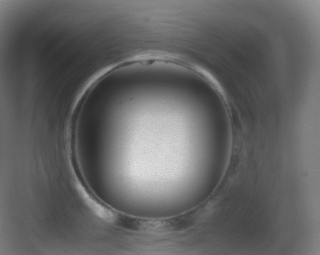 X0000083601003200702091215