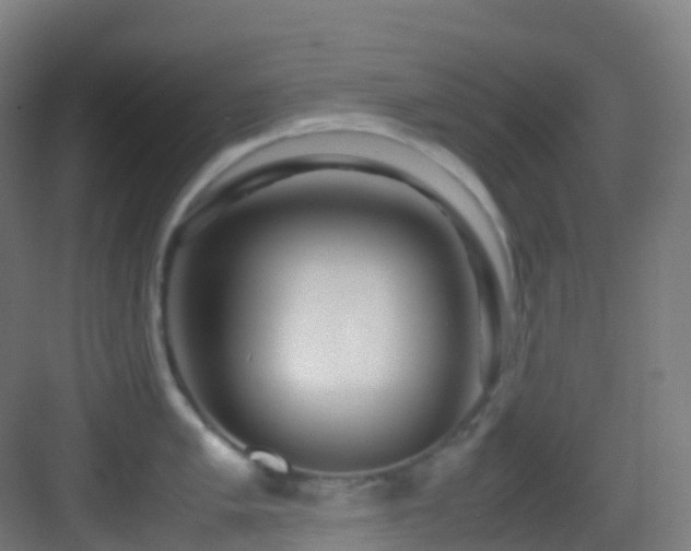 X0000083601005200702091215