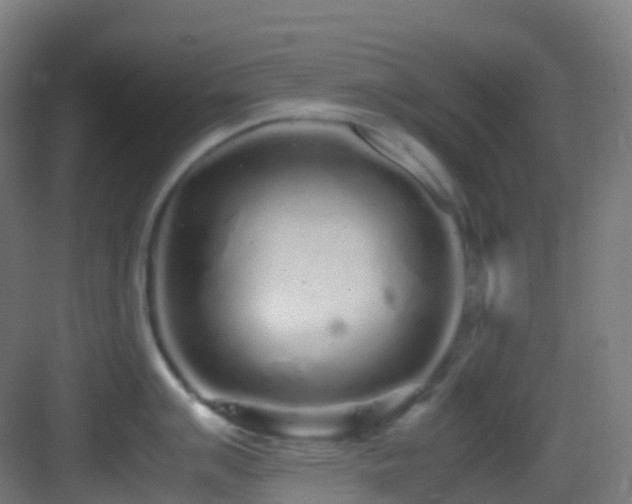 X0000083601007200702091215