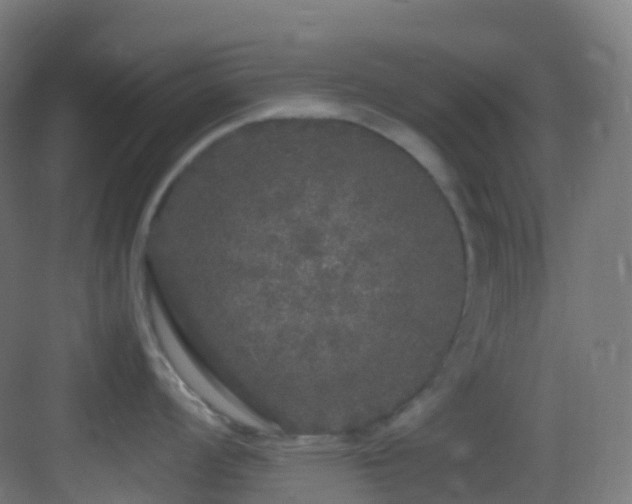 X0000083601008200702091215