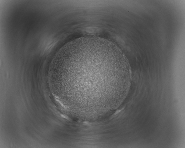 X0000083601009200702091214