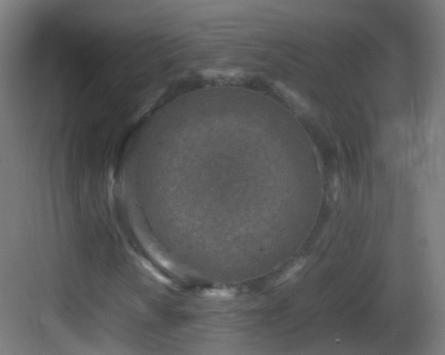 X0000083601010200702091214