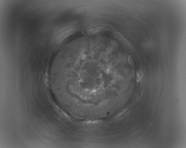 X0000083601011200702091214