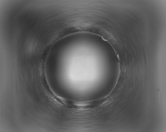 X0000083601012200702091214