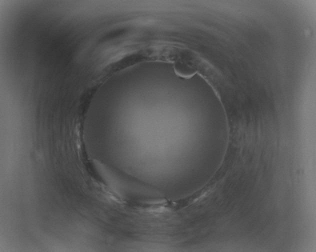 X0000083601013200702091214