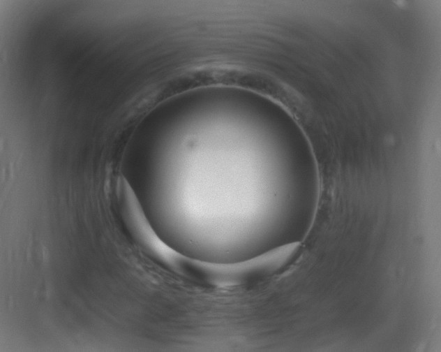 X0000083601014200702091214