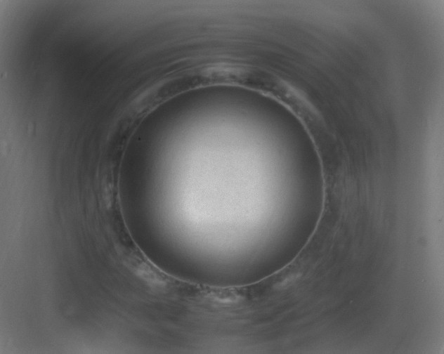 X0000083601015200702091214