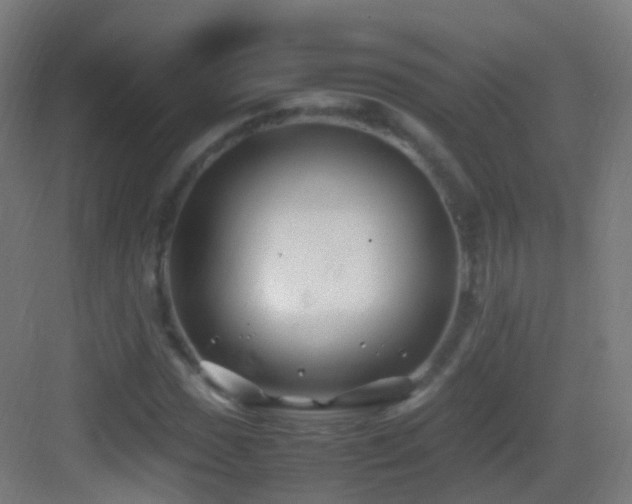 X0000083601017200702091214