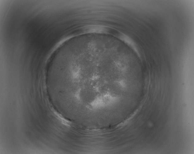 X0000083601019200702091214