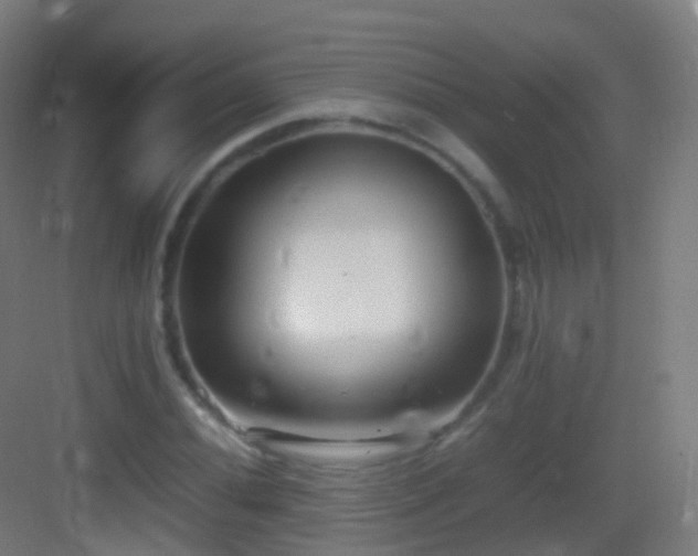 X0000083601020200702091214