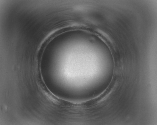 X0000083601021200702091214