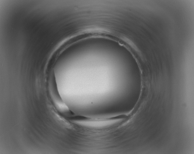 X0000083601022200702091214