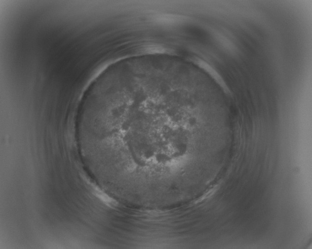 X0000083601023200702091214