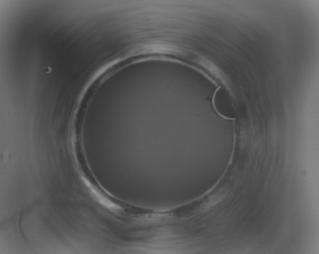 X0000083601024200702091214