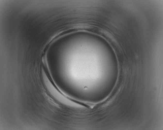 X0000083601025200702091214