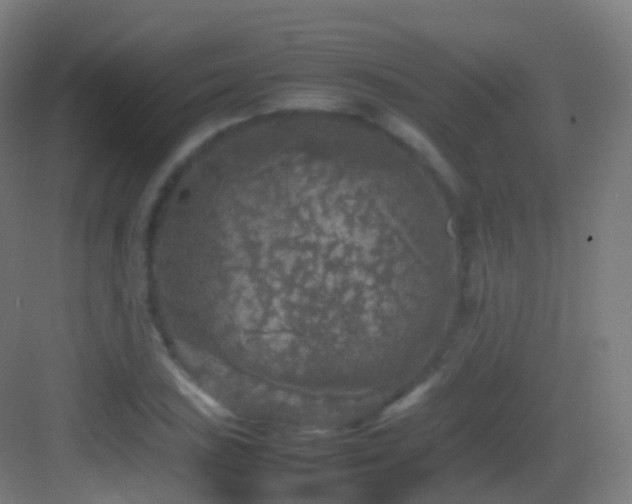 X0000083601027200702091214