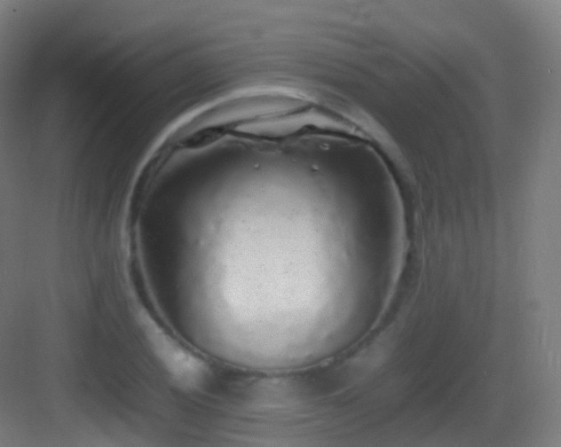 X0000083601028200702091214