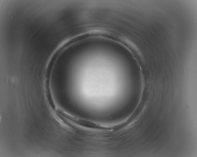 X0000083601029200702091214