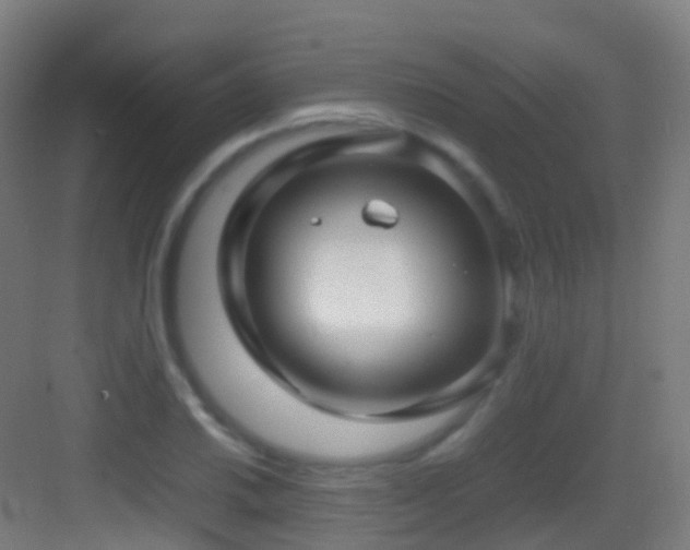 X0000083601030200702091214