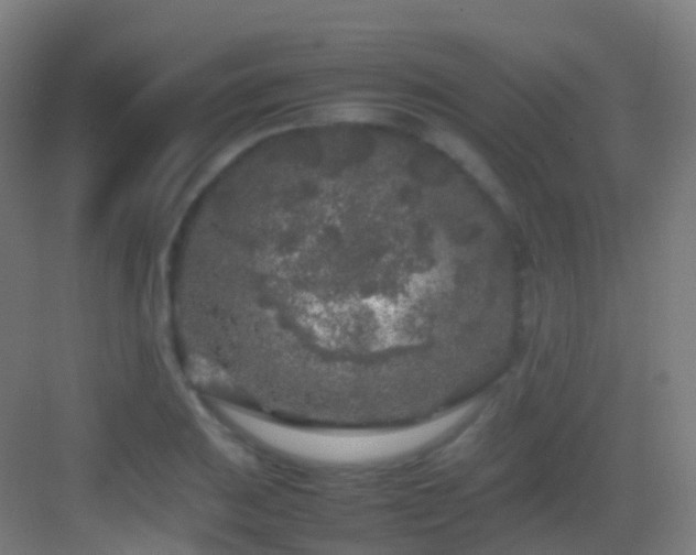 X0000083601031200702091214