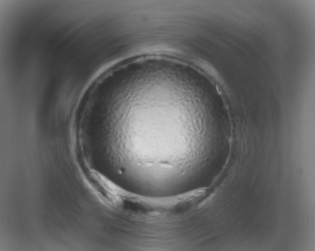 X0000083601032200702091214