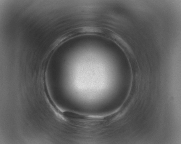 X0000083601033200702091215