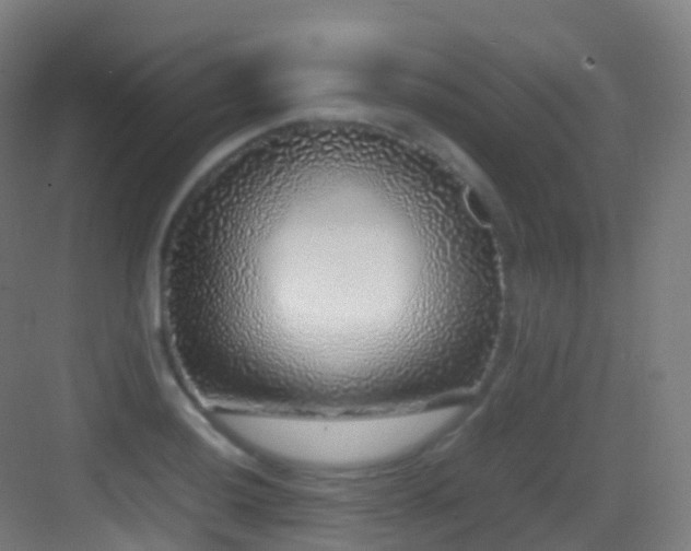 X0000083601036200702091215