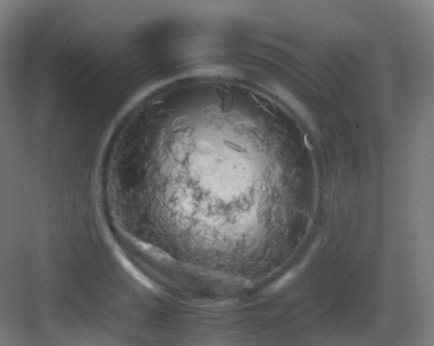 X0000083601037200702091215