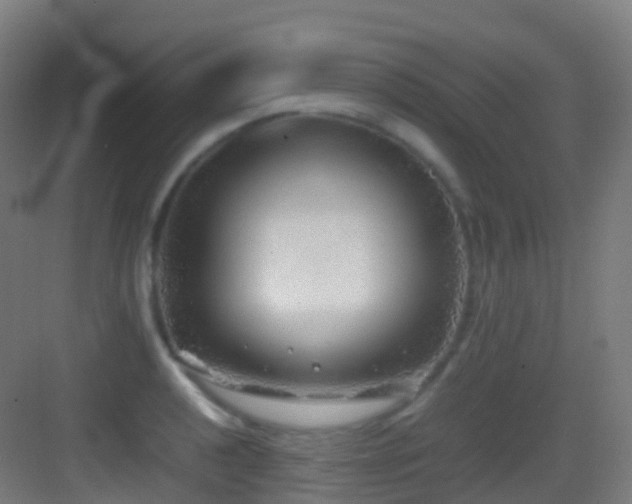 X0000083601040200702091215