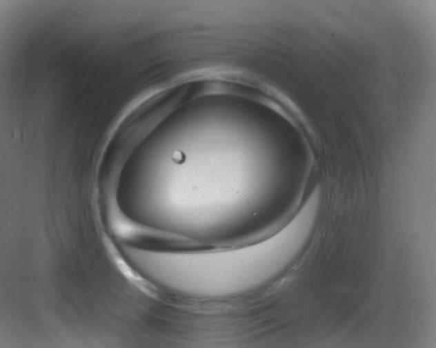 X0000083601042200702091215