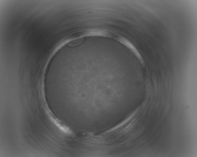 X0000083601043200702091215