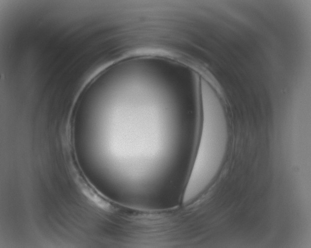 X0000083601044200702091215